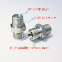 Vente de liquidation B2B Raccords de tuyauterie hydrauliques mâles BSPP mâles BSPT durables Surface zinguée en acier au carbone standard britannique