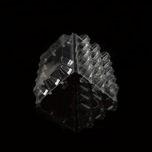 Khay Đựng Trứng/Hộp Đựng Trứng Bằng Nhựa Dùng Một Lần Giá Nhà Máy 15 Lỗ - Product Image 2