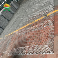 Grillage gabion en fil de fer galvanisé à succès, revêtu de PVC, à mailles hexagonales, pour la lutte contre les inondations et les travaux de terrassement