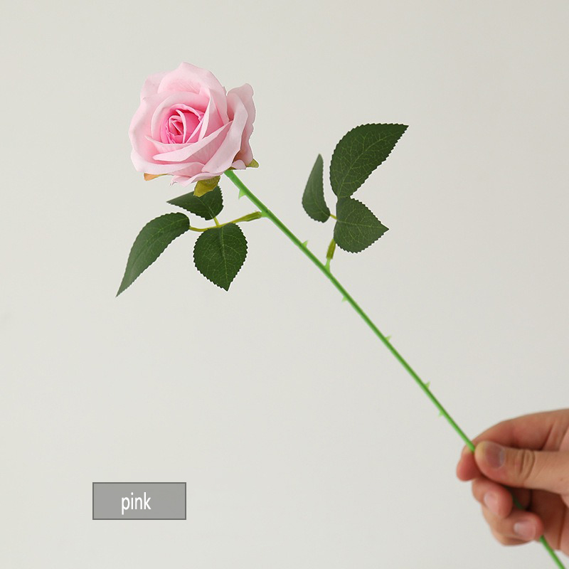 Rosa
