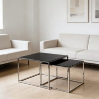 Ensemble de tables basses gigognes 2 pièces modernes et minimalistes, hauteur réglable, structure en acier inoxydable poli, plateau en verre trempé noir