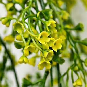 Artificial Hanging <b>Flower</b> Creeper Green Floral Vine Plant for Home Balcony <b>Wall</b> Garden Indoor Outdoor Decoration - Product Image 3
