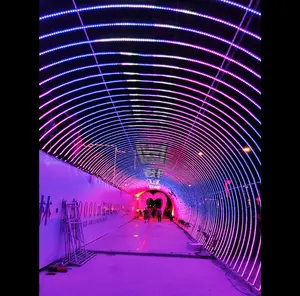 Grosir harga rendah Festival pernikahan LED dekorasi luar ruangan raksasa 3D LED bingkai logam jalan lengkungan terowongan Motif cahaya