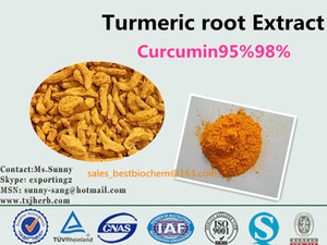 Natural extracto de cúrcuma 95% curcuminoide <span class=keywords><strong>polvo</strong></span> de curcumina - Product Image 2