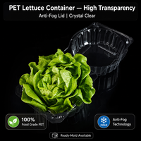 Groothandel wegwerp voedselveilige transparante PET verpakking clamshell container voor sla, fruit en groenten