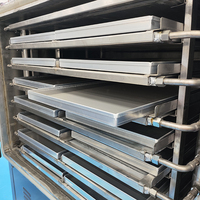 Industriële voedselveilige vriesdroogmachine voor de productielijn van knapperige groenten en fruit