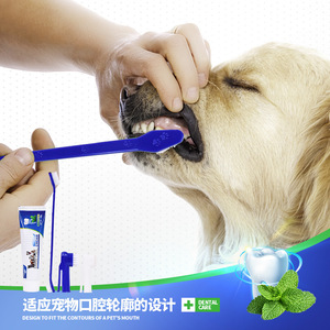 Dentifrice pour animaux de compagnie, ensemble pour une haleine fraîche, pour chiens et chats, formule comestible, usage domestique - Product Image 5
