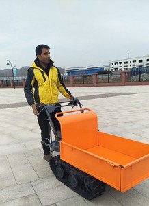 Elektrische hydraulische minidumper, 300 kg laadvermogen, compacte kruiwagen voor bouw, landbouw en tuintransport - Product Image 5