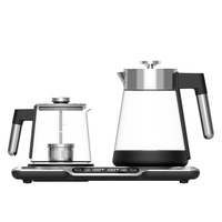 Bouilloire électrique portable Hotsy pour le voyage, petite bouilloire en verre, chauffe-lait, samovar, machine à faire du thé, contrôle du thermostat
