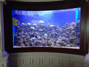 カスタマイズ可能 220V 透明 大型 アクリル 水槽 ホテル 民宿 ヴィラ用 観賞魚 タンク - Product Image 3