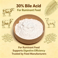 Poudre d'acides biliaires à 30 % de qualité alimentaire, additif alimentaire pour ruminants, pour vaches laitières, bovins de boucherie, moutons, élevages