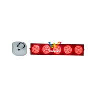 200mm 300mm rouge vert LED Programmable Sports de plein air course Stop Go compte à rebours minuterie course piste feux de circulation