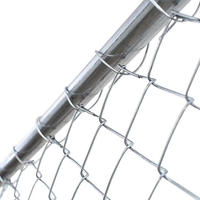 Hete Verkoop Groothandel Fabriek Outdoor Metalen Groen Gaas Hekwerk Ketting Link Mesh