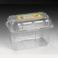 Groothandel Pet Box Salade Plastic Bakjes Voor Fruit Fruitdoos Verpakking