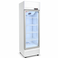 Réfrigérateur vertical haute efficacité avec refroidissement par ventilateur, porte vitrée, pour restaurant, café, vitrine de boissons