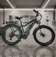 Yozma in 10 Moto tout-terrain électrique 500W 48V10.4Ah Autonomie supérieure à 60 km Batterie au lithium en alliage d'aluminium Légère Vélo à pneus larges 7 vitesses