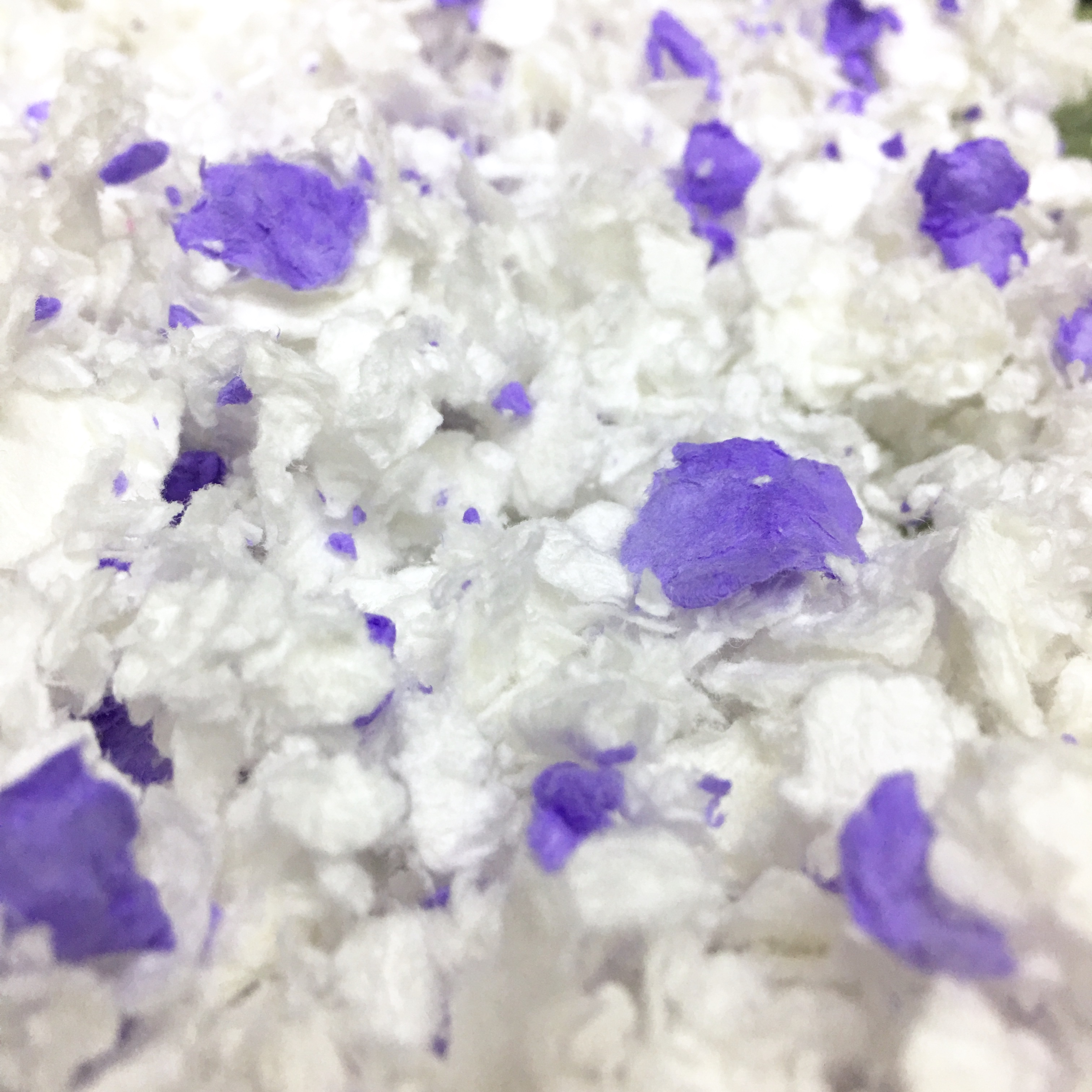 Blanc + violet