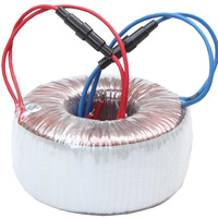 Transformateur toroïdal 100W 200W 300W 500W 600W 800W 1000w 220v 12v 24v Fil de cuivre Transformateur d'alimentation annulaire