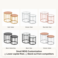 Ensemble de 2 tables basses de luxe modernes avec plateau en verre trempé et base en métal doré, tables rondes imbriquées pour salon, meubles de maison