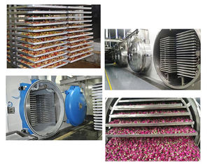 Lyophilisateur haute capacité, solution de lyophilisation industrielle personnalisable - Product Image 2