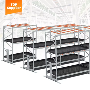 ระบบปลูกแนวตั้งแบบ2ชั้นชั้นชั้นวางสำหรับการทำฟาร์มในร่มที่เคลื่อนย้ายได้ - Product Image 2