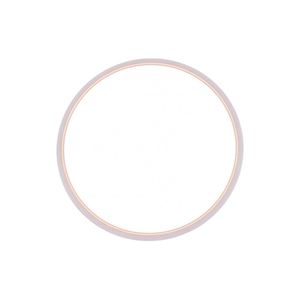 Giá tốt nhất cấp bằng sáng chế sản phẩm IP54 bảo vệ với CB CE ERP ROHS giấy chứng nhận LED IP54 Đèn trần cho trong nhà - Product Image 3