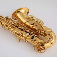Alto Saxophone Gold Lacquered Woodwind Instrument with EB Tone Brass Surface