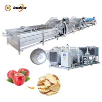 Hoge Kwaliteit Fruit Vriesdrogen Productielijn Automatische Wasmachine Lyofilisator Machine Voor Aardbei/Appel/Mango