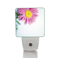 Veilleuse de capteur de cellule photoélectrique LED de pépinière pour la lampe de nuit enfichable à LED à la maison