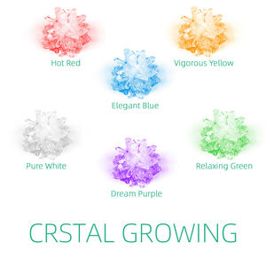 Deluxe <strong>Crystal</strong> Growing <strong>Kit</strong> Science Project <strong>Kit</strong> Experiment <strong>Grow</strong> <strong>Crystals</strong> for School <strong>Crystal</strong> Science Growing Experimental <strong>Kit</strong>. - Product Image 6