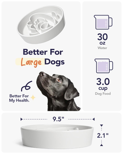 Wholesale Slow Dog & <b>Cat</b> Pet Feeding Bowl with Non-skid Silicone Mat Plastic Food Grade Slow <b>Feeder</b> - Product Image 2