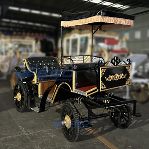 Carruaje Real Clásico de Lujo Negro Personalizado de Alta Gama con Aire Acondicionado/Carruaje Eléctrico Europeo para Turismo - Product Image 3