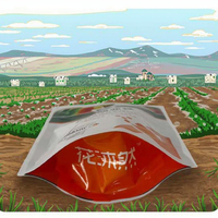 Bolsa perforada a granel de fertilizante de urea de nitrógeno agrícola personalizado con sello de boquilla de bolsa de pie agroquímicos plástico BOPP/PP