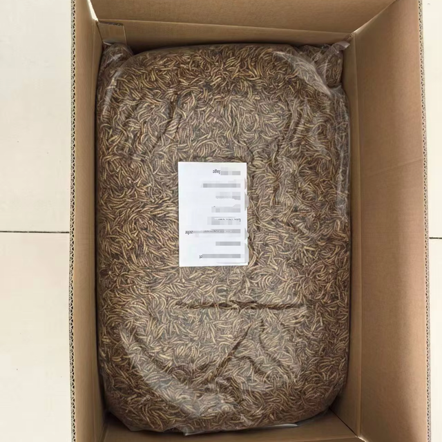 Wholesale High Protein Dried Flour Worm Mealworm in Bulk 5 KG for Wild Bird
