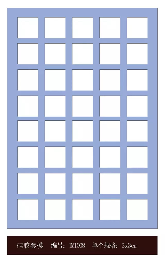 TM1008
