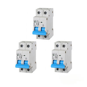 Interruptor Automático en Caja Moldeada Gloca JXB1-63 2P 40A 220V 6kA Térmico Magnético 50Hz Montaje en Riel DIN - Product Image 1