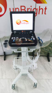 Draagbare VET-laptop 3D PW medische elastografie echografiemachine 15 inch kleuren Doppler sonografie <span class=keywords><strong>USG</strong></span>-apparaat - Product Image 3