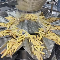 Automatische productielijn voor kleine tot middelgrote productie van diepvriesfrieten, 100 kg/uur - 500 kg/uur