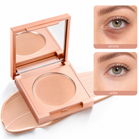 Palette de Correcteurs Individuels Haute Couvrance Mélangeables pour le Visage, Maquillage Personnalisé, Marque Privée, OEM, ODM, Kit Cosmétique en Gros