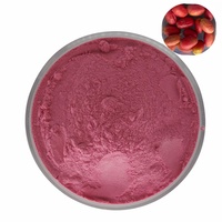Poudre de baie miracle 100% naturelle de haute qualité, poudre de Synsepalum dulcificum lyophilisée pour usage alimentaire