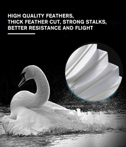 Cầu lông lông ngỗng vàng, chất lượng tốt, thích hợp cho thi đấu quốc tế, thương hiệu nổi tiếng của Trung Quốc - Product Image 6