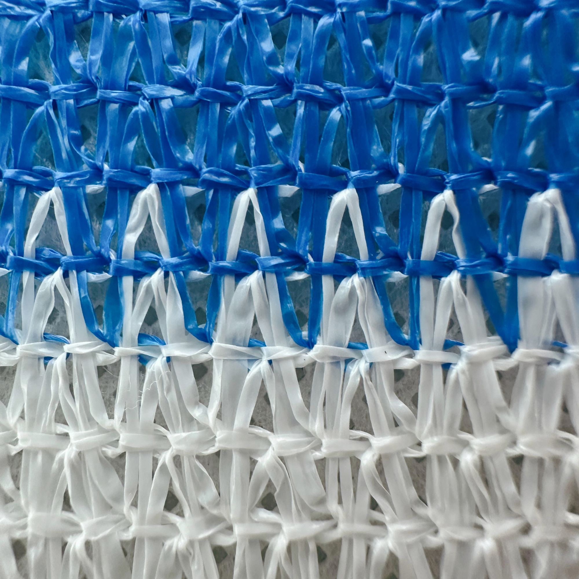 Bleu/Blanc