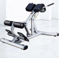 Chaise Romaine Commerciale de Haute Qualité, Banc d'Extension Dorsale, Équipement de Musculation, Banc à Haltères pour Gym à Domicile, Machine d'Entraînement des Lombaires