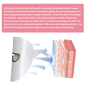 뜨거운 판매 전문 뷰티 살롱 3 색 광자 <span class=keywords><strong>Pdt</strong></span> 레드 <span class=keywords><strong>Led</strong></span> 페이셜 라이트 테라피 마스크 <span class=keywords><strong>Led</strong></span> 뷰티 마스크 - Product Image 5