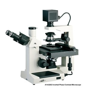 Microscope biologique inversé trinoculaire à contraste de phase pour clinique et laboratoire de recherche - Product Image 6