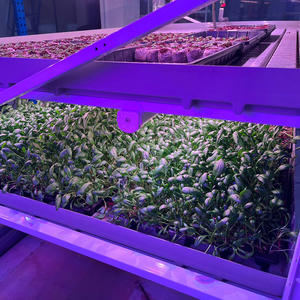 Ebb Flow Tray Bancos <span class=keywords><strong>de</strong></span> inundación Ebb and Flow Mesa rodante <span class=keywords><strong>Semillero</strong></span> - Product Image 5