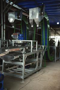 Línea de Descascarillado de Anacardos, Tipo Doble Cabezal de Corte, 12 Cuchillas, Capacidad 1000-1200 kg/h, Totalmente Automática, Mayorista - Product Image 6