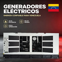 Diesel-Stromgenerator 100kW 150kW 200kW 300kW Hohe Leistung Energiereservat Ausrüstung für Gewerbe und Wohnhäuser Venezuela