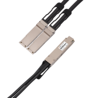 Câble de dérivation DAC passif à faible latence 400G OSFP vers 2x 200G QSFP56 pour cluster AI GPU HPC InfiniBand HDR