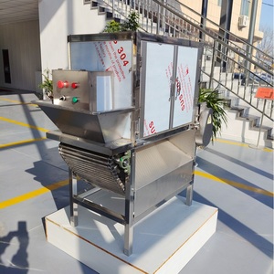 Pelatrice d'Aglio Durevole ed Economica da 300kg/h Diller <span class=keywords><strong>Surat</strong></span> con Inverter - Product Image 1